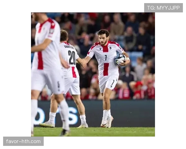 斯洛伐克国家队欧预赛表现惊艳，强势晋级引发广泛关注