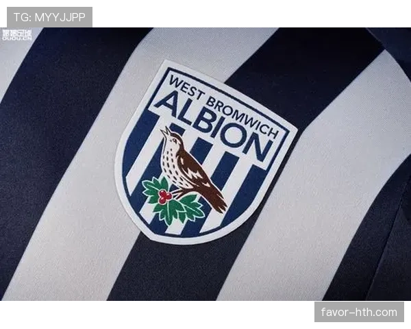 西布朗蓝白条纹 西布朗蓝白条纹