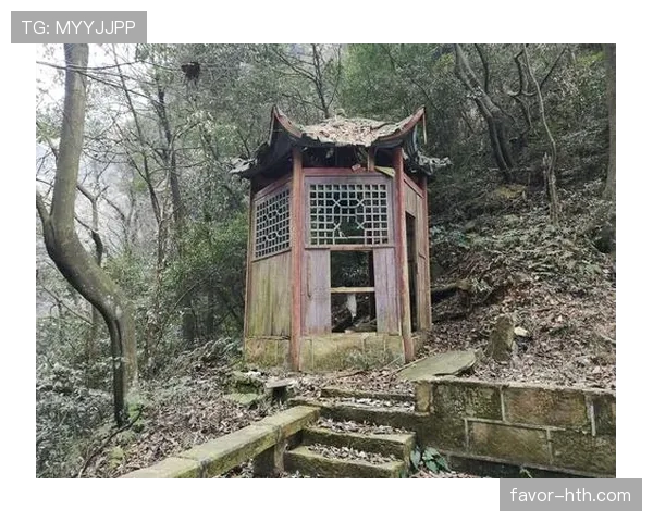 刷到谌利军的私照，衣柜里堆着杠铃片，豪车钥匙和护膝放一堆，笑抽